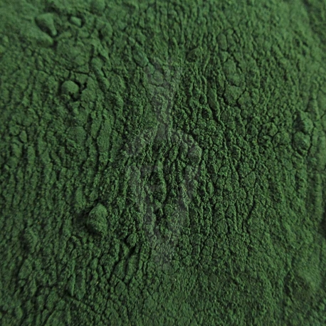 Spirulina cruda Biologica in polvere- 125g