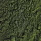 Chlorella cruda Biologica in polvere - 125g