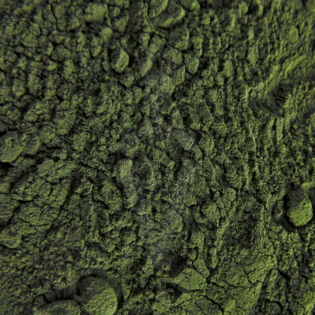 Chlorella cruda Biologica in polvere - 125g