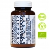Poria cocos fungo europeo Bio in polvere - 100g