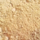 Poria cocos fungo europeo Bio in polvere - 100g