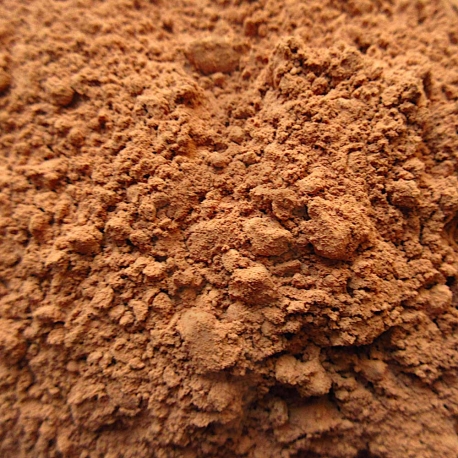 Polvere di Cacao biologico - 500g