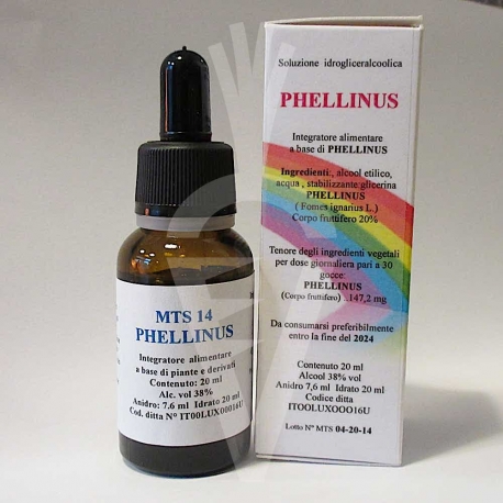 Phellinus fungo Mycoterapia Spagyrica Tintura da 20ml - MTS14 Estratto in Corrente di Vapore