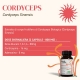 Cordyceps sinensis fungo Bio estratto a ultrasuoni - 56 capsule