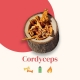 Cordyceps sinensis fungo Bio estratto a ultrasuoni - 56 capsule
