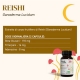 Reishi Ganoderma lucidum fungo Bio estratto a ultrasuoni - 56 capsule