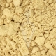 Maitake Grifola frondosa fungo Biologico - polvere da 125g