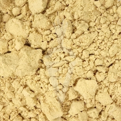 Maitake Grifola frondosa fungo Biologico - polvere da 125g