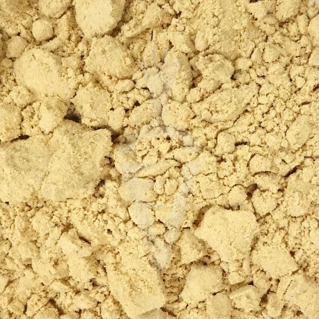 Maitake Grifola frondosa fungo Biologico - polvere da 125g