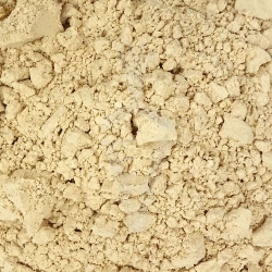 Shiitake Lentinula edodes fungo Biologico - polvere da 125g