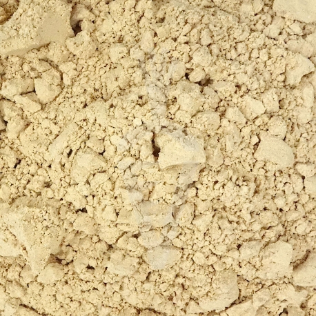 Shiitake Lentinula edodes fungo Biologico - polvere da 125g