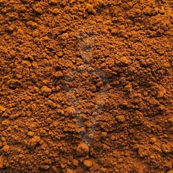 Chaga Inonotus obliquus fungo Biologico crudo - polvere da 125g