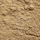 Hericium erinaceus fungo Bio in polvere - 125g