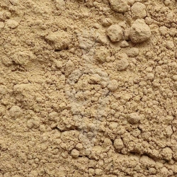 Hericium erinaceus fungo Biologico in polvere - 125g