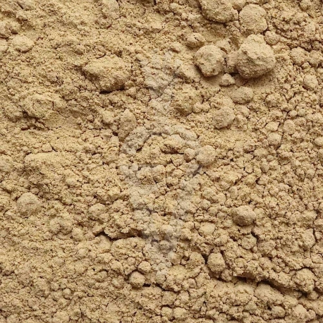 Hericium erinaceus fungo Bio in polvere - 125g