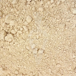 Reishi Ganoderma lucidum fungo Biologico - polvere da 125g