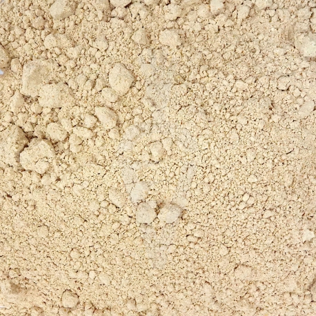 Reishi Ganoderma lucidum fungo Biologico - polvere da 125g