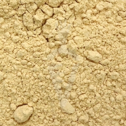 Agaricus blazei fungo Biologico in polvere - 125g