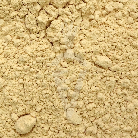 Agaricus blazei fungo Bio in polvere - 125g