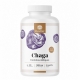 Chaga 1000 mg – estratto 5:1