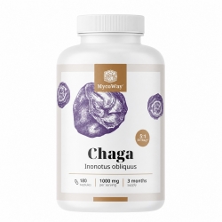 Chaga 1000 mg – estratto 5:1