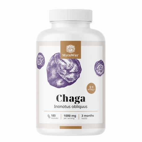 Chaga 1000 mg – estratto 5:1