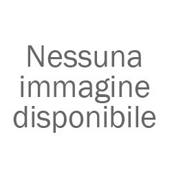 Coprinus comatus fungo Bio in polvere - 1Kg